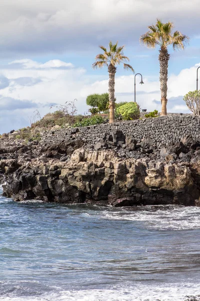 Hindistan cevizi hurma 