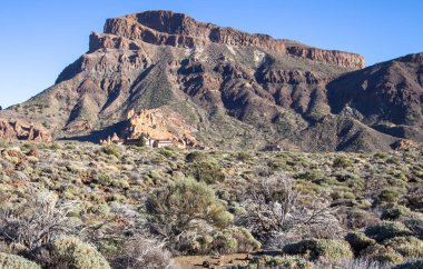 Teide Milli Parkı Tenerife