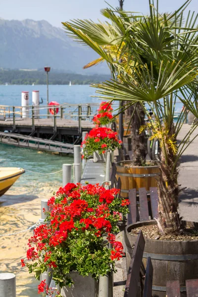 Gölü dolgu İsviçre