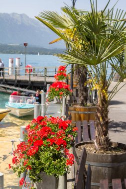 Gölü dolgu İsviçre