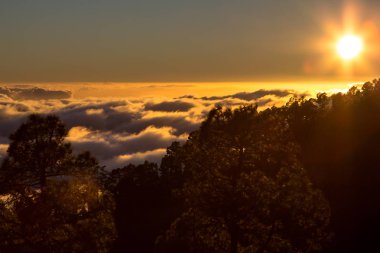 Bulutların üzerinde orman Marnixkade günbatımı
