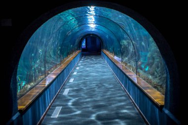 Egzotik akvaryum tünel 