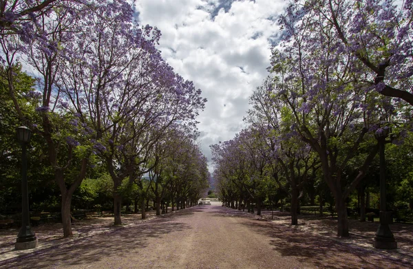 Park Atina, Yunanistan — Stok fotoğraf