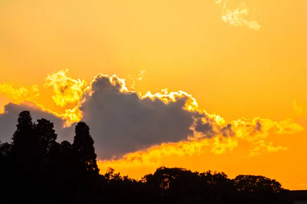 Solnedgång, moln och träd — Stockfoto