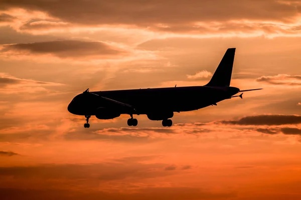 Flygplanslandning vid solnedgången — Stockfoto