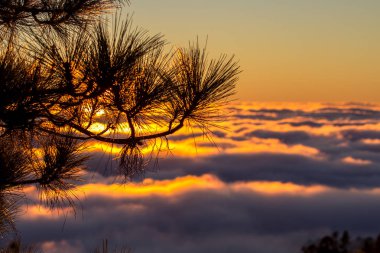 Bulutların üzerinde gün batımı