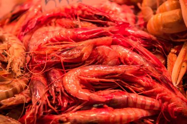 Barcelona içinde belgili tanımlık çarşı, taze deniz ürünleri