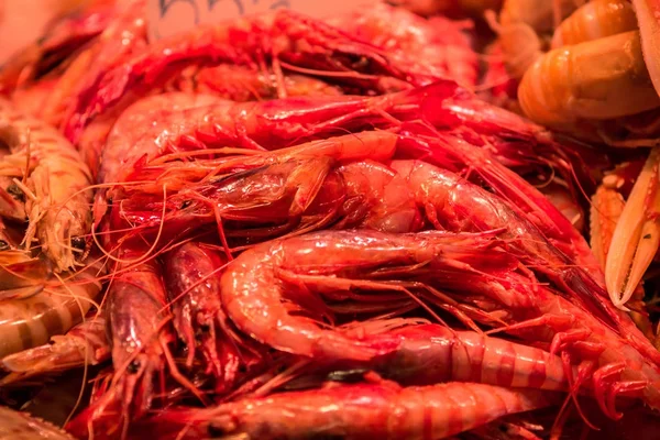 Barcelona içinde belgili tanımlık çarşı, taze deniz ürünleri