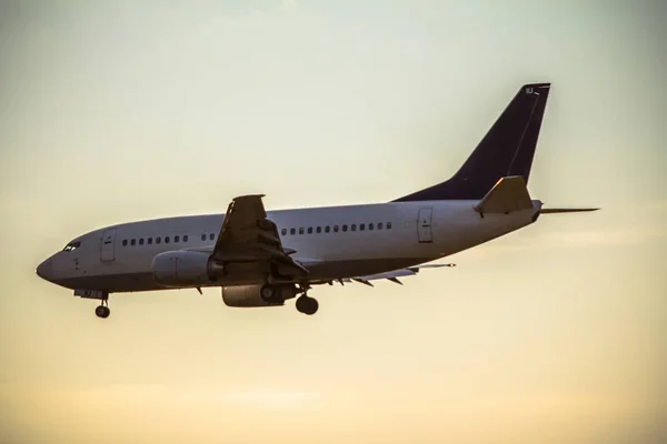 Airplane landing on sunset — Stock Photo, Image