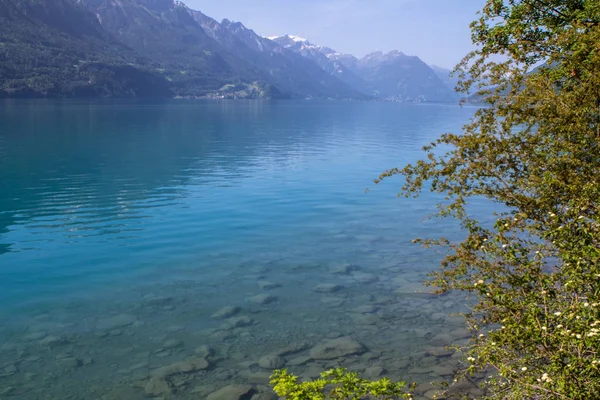 Brienzsjön, Schweiz — Stockfoto
