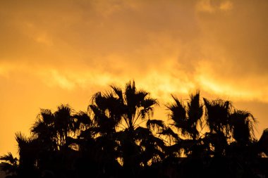 Harika gün batımı siluet