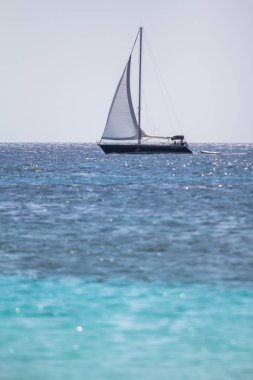 Açık denizde yelkenli