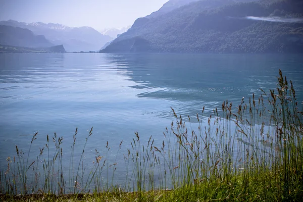Göl brienz, İsviçre — Stok fotoğraf