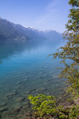 Göl brienz, İsviçre