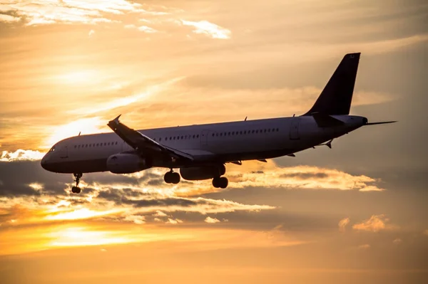 Airplane landing at sunset — Stock Photo, Image