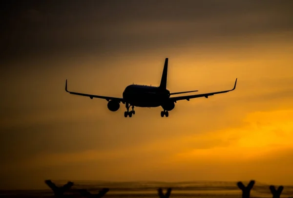Самолёт садится на закате — стоковое фото