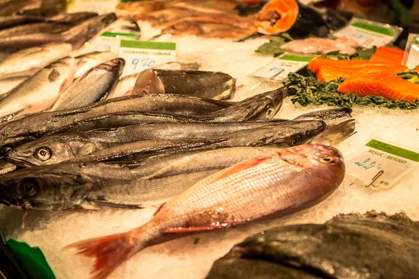 Frutos do mar frescos no mercado em Barcelona — Fotografia de Stock