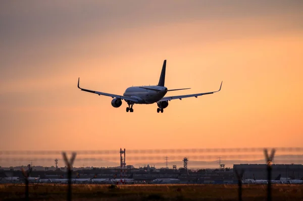 Airplane landing at sunset