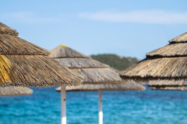 Sahilde saman şemsiyeleri