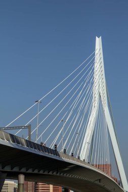 Erasmus Bridge Rotterdam, Hollanda