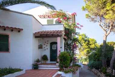 Lüks Tropikal villa