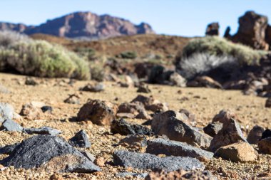 Lav alanı Tenerife, İspanya