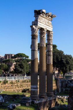 Roma Forumu, Roma