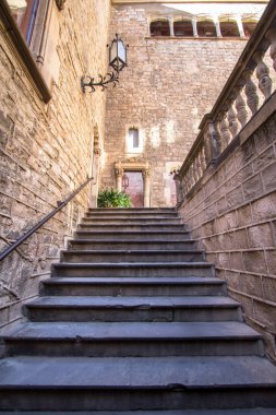 Piskopos Sarayı - Palau piskoposluk de Barcelona 