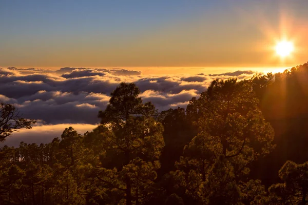 Puesta de sol vista desde el bosque sobre las nubes — Foto de Stock