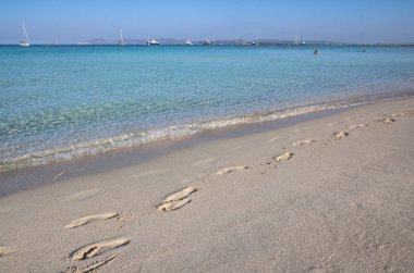 Beach Ses Illetas, Formentera, İspanya