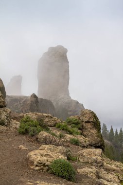 Gran Canaria 'da roque nublo