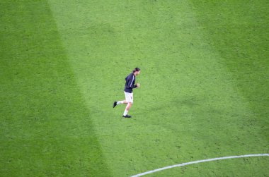 Zlatan Ibrahimoviç UEFA Şampiyonlar Ligi 'Nden önce eylemde