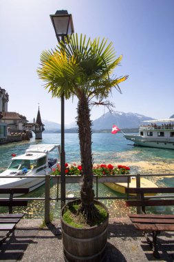 Gölü dolgu İsviçre