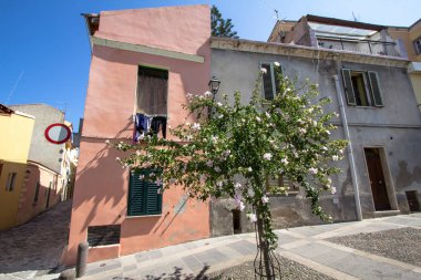 Bahçesinde ağaçlar ve pembe evde, Sassari, İtalya