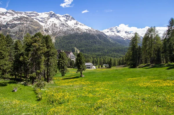 Typische alpine landschap in het voorjaar — Stockfoto