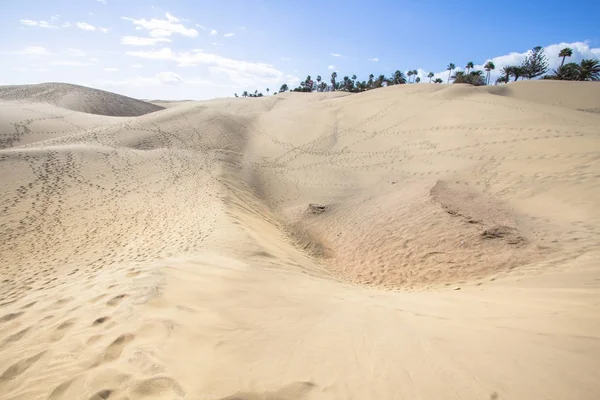 Deserto da Duna de Areia de Maspalomas, Grande Canária — Fotografia de Stock