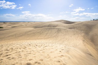 Maspalomas kum kumul çöl, Grand Canaria