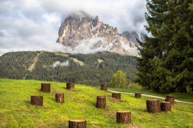 Mount üstten doğal görünüm