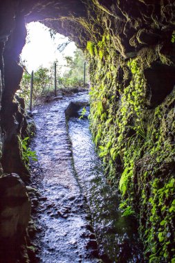 Levada Caldeirao Verde, Madeira
