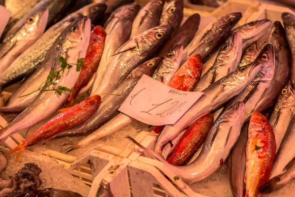 Frutti di mare nel mercato del pesce — Foto Stock