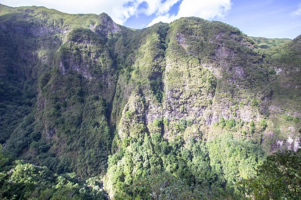 Panorama görünüm dağ yağmur ormanı, Madeira, Portekiz