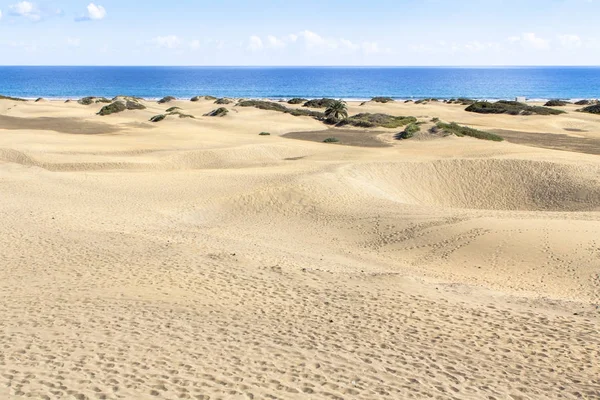 Duna Beach Maspalomas Gran Canaria