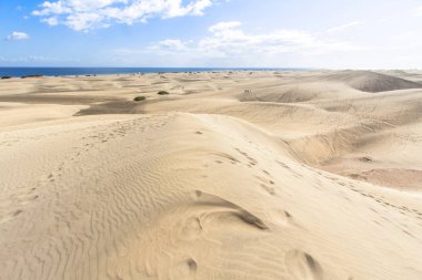 Maspalomas kum kumul çöl, Grand Canaria