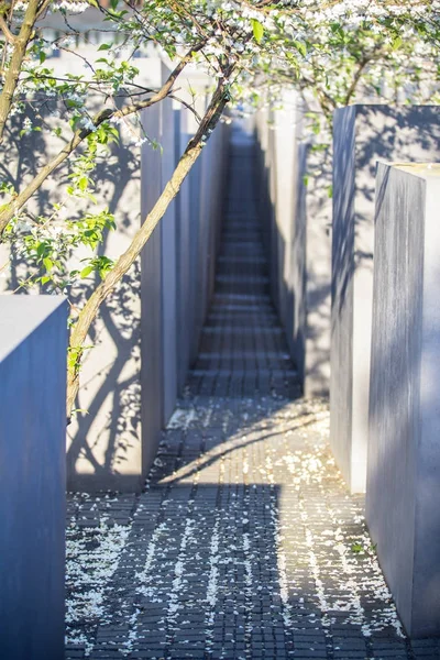 Ağaç çiçeği Berlin öldürülen Yahudilerin Avrupa anıt üzerinde