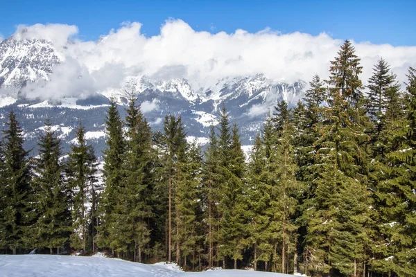 Montañas Kaiser y bosque de pinos, Austria — Foto de Stock
