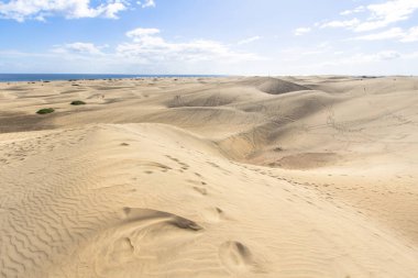 Maspalomas kum kumul çöl, Grand Canaria
