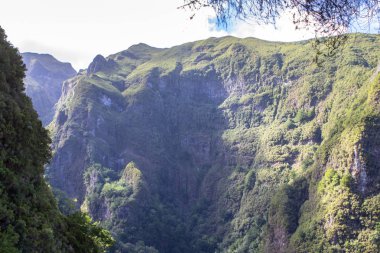Panorama görünüm dağ yağmur ormanı, Madeira, Portekiz