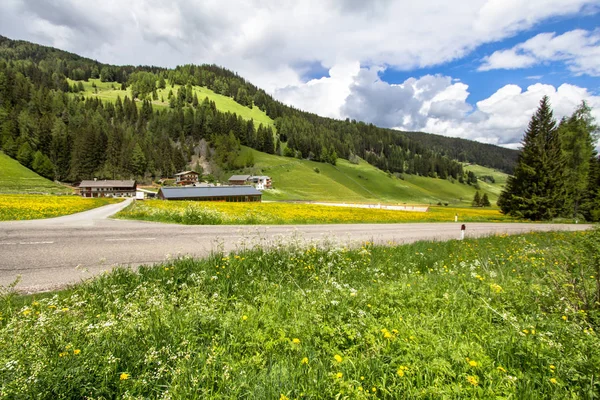 Dandelions ve Dağları alanıyla manzara — Stok fotoğraf