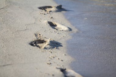 Sahilde ayak izleri.