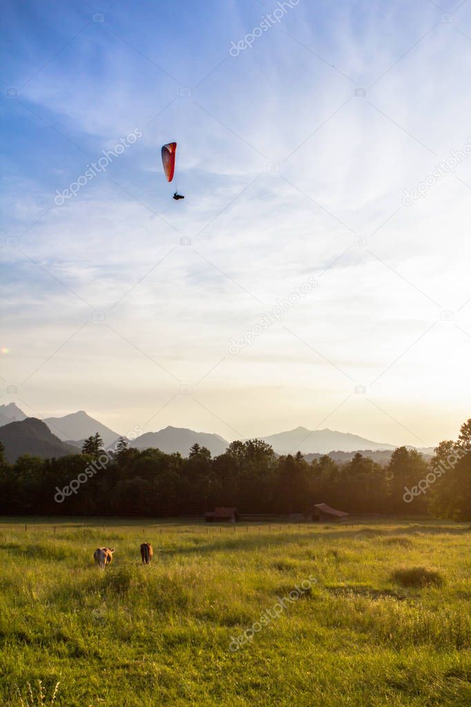 Hang gliding above the field